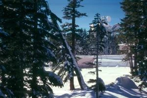 Picture provided by Billy Swatzell 12/22/2021